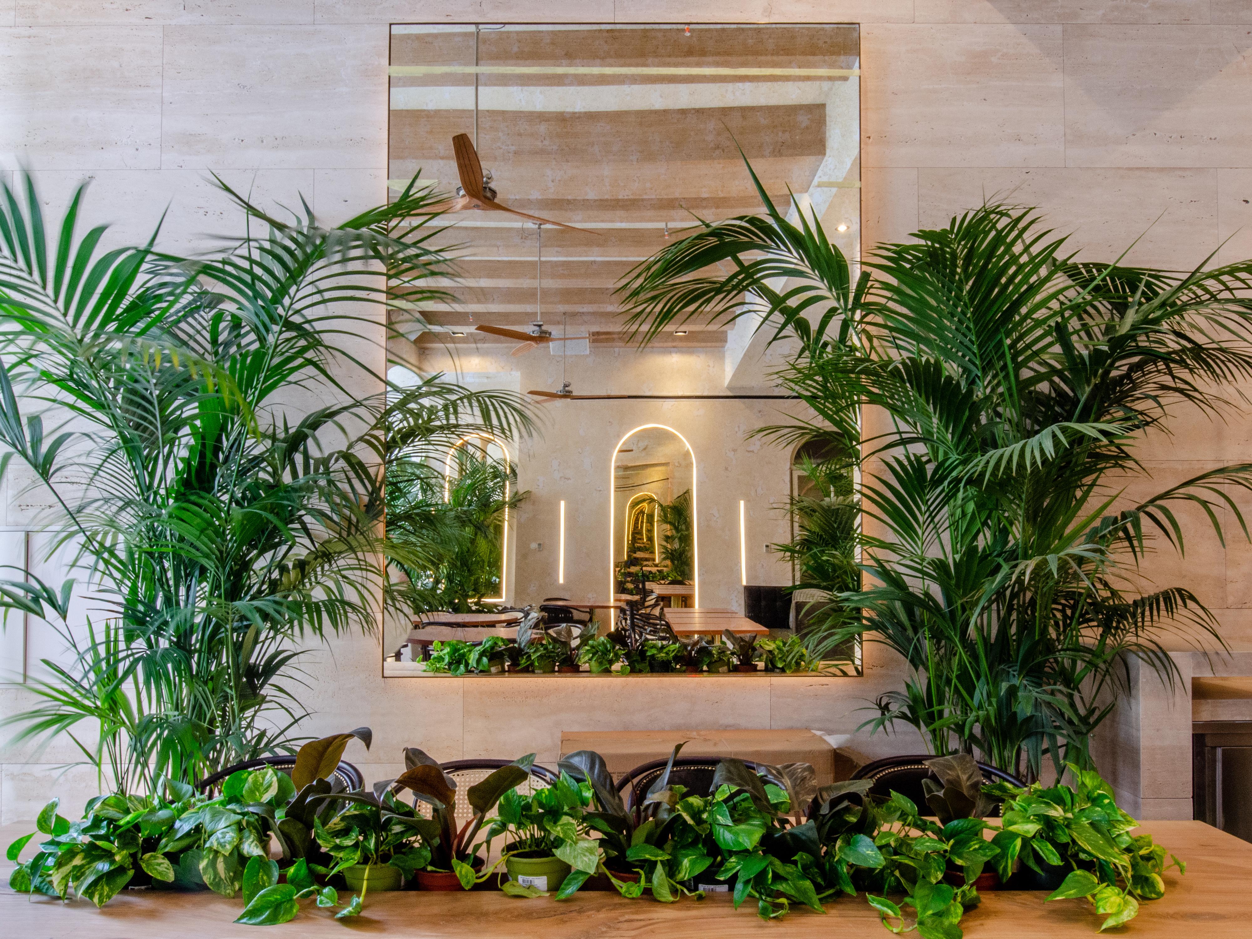 Browns Avenue Hotel ลิสบอน ภายนอก รูปภาพ The interior of the restaurant
